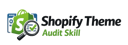 Theme Audit logo